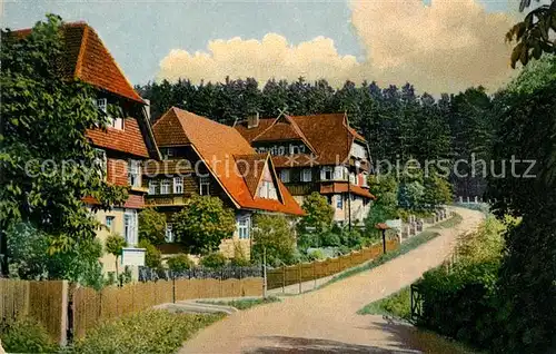 AK / Ansichtskarte Braunlage Ramsenweg Naturbild Postkarte Nr 311 Braunlage
