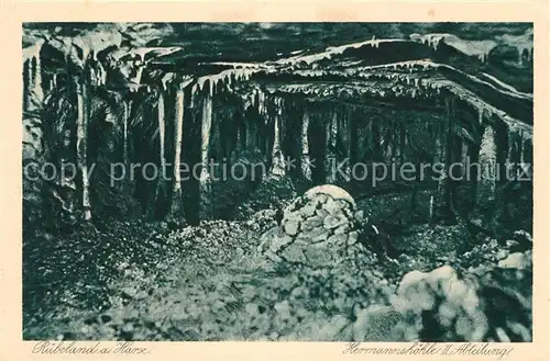 AK / Ansichtskarte Ruebeland_Harz Panorama Ruebeland_Harz