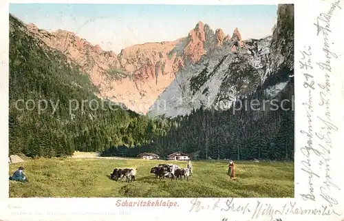 AK / Ansichtskarte Berchtesgaden Scharitzkehlalpe Berchtesgaden