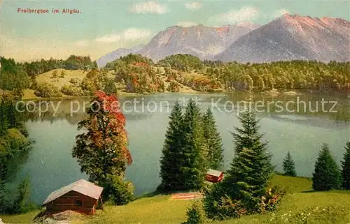 AK / Ansichtskarte Freibergsee Panorama Freibergsee