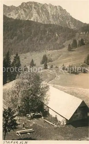 AK / Ansichtskarte Piding Steineralm Hochstaufen Piding