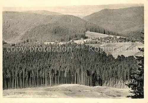 AK / Ansichtskarte Rudolstadt Panorama Rudolstadt