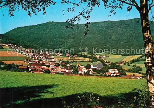 AK / Ansichtskarte Rimbach_Bayrischer_Wald Panorama Hoher Bogen Rimbach_Bayrischer_Wald