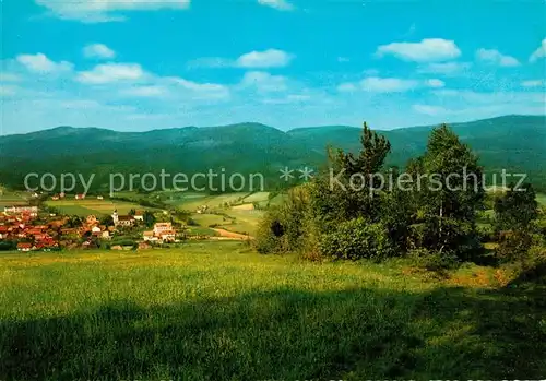 AK / Ansichtskarte Rimbach_Bayrischer_Wald Panorama Rimbach_Bayrischer_Wald