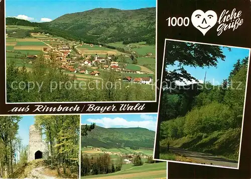 AK / Ansichtskarte Rimbach_Bayrischer_Wald Panorama Rimbach_Bayrischer_Wald