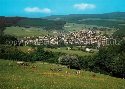 AK / Ansichtskarte Niederwoerresbach Panorama im Fischbachtal Niederwoerresbach