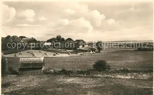 AK / Ansichtskarte Ahrenshoop_Ostseebad Landschaftspanorama Ahrenshoop_Ostseebad