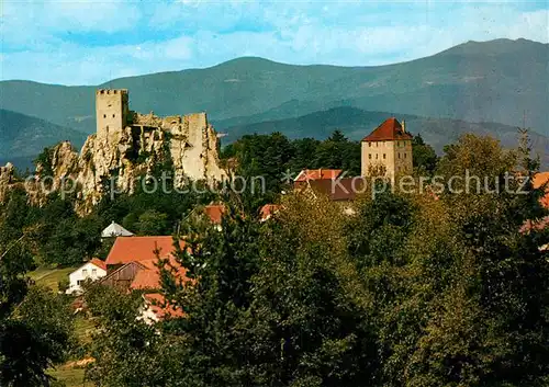 AK / Ansichtskarte Regen Burgruine Weissenstein Regen