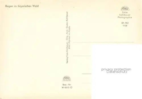 AK / Ansichtskarte Regen Panorama Regen