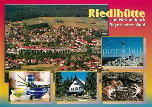 AK / Ansichtskarte Riedlhuette Fliegeraufnahme Waldschmidthaus am Rachel  Riedlhuette