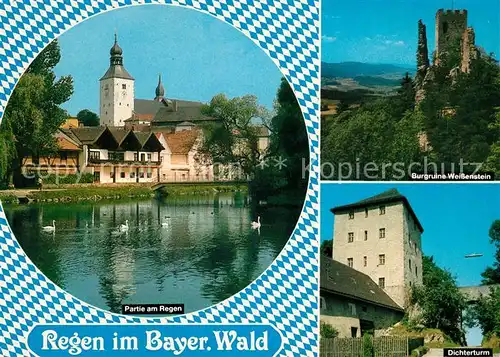 AK / Ansichtskarte Regen Kirche Burgruine Weissenstein Dichterturm Regen