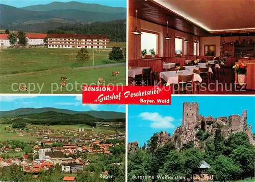 AK / Ansichtskarte Poschetsried Panorama Regen Burgruine Weissenstein Poschetsried