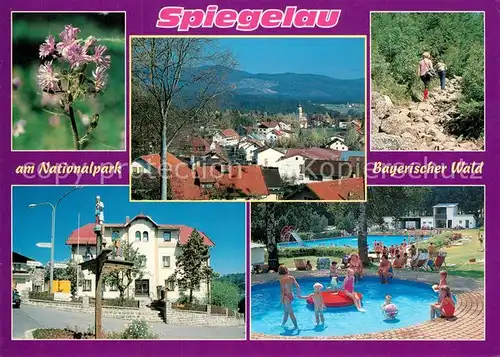 AK / Ansichtskarte Spiegelau Stadtansichten Freibad  Spiegelau