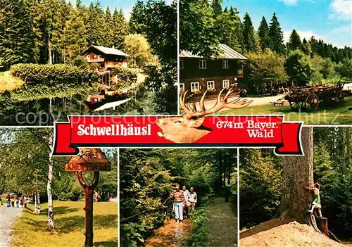 AK / Ansichtskarte Bayerisch_Eisenstein Zwieselener Waldhaus Ausflugsgaststaette Cafe Schwellhaeusl Bayerisch_Eisenstein