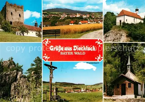 AK / Ansichtskarte Viechtach_Bayerischer_Wald Burgruine Kirche Kapelle Wegkreuz  Viechtach_Bayerischer