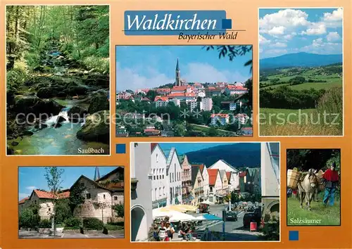AK / Ansichtskarte Waldkirchen_Niederbayern Saussbach Salzsaeumer Marktplatz Panoramen Waldkirchen Niederbayern
