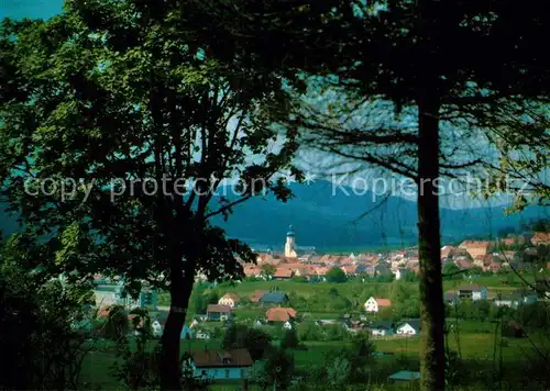 AK / Ansichtskarte Waldmuenchen Panorama Waldmuenchen