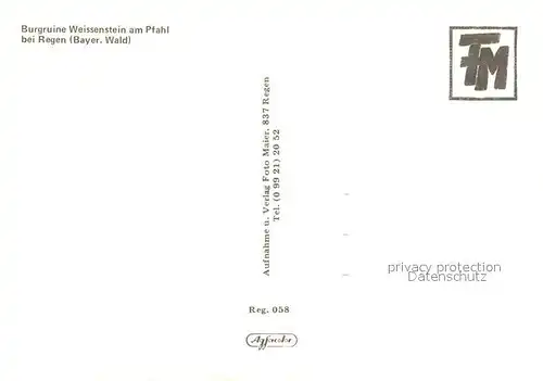 AK / Ansichtskarte Regen Burgruine Weissenstein Pfahl Regen