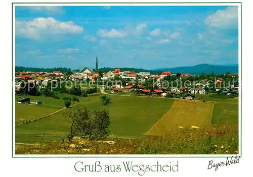 AK / Ansichtskarte Wegscheid_Niederbayern Panorama Wegscheid Niederbayern
