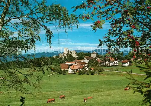 AK / Ansichtskarte Weissenstein_Regen Grosser Pfahl Burgruine Weissenstein_Regen