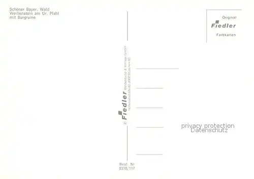 AK / Ansichtskarte Weissenstein_Regen Grosser Pfahl Burgruine Weissenstein_Regen