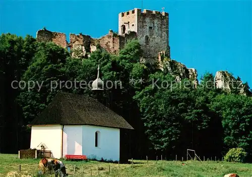 AK / Ansichtskarte Regen Burgruine Weissenstein  Regen