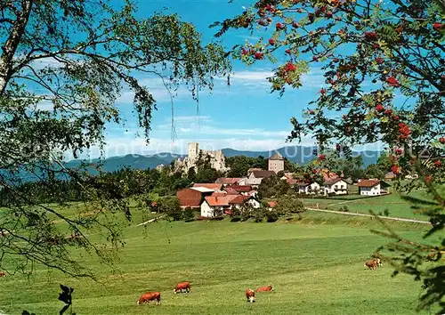 AK / Ansichtskarte Weissenstein_Regen Panorama Grosser Pfahl Burgruine Weissenstein_Regen