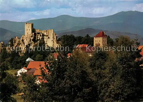 AK / Ansichtskarte Regen Burgruine Weissenstein  Regen