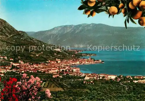 AK / Ansichtskarte Salo_Lago_di_Garda Panorama Salo_Lago_di_Garda