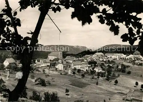 AK / Ansichtskarte Wangenbourg Engenthal  Wangenbourg Engenthal