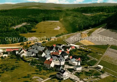 AK / Ansichtskarte Treisberg Fliegeraufnahme Gasthaus Zum Aussichtsturm Treisberg