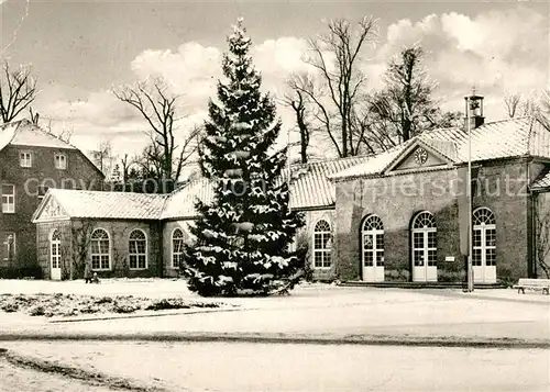 AK / Ansichtskarte Bad_Driburg Trink und Wandelhalle Bad_Driburg