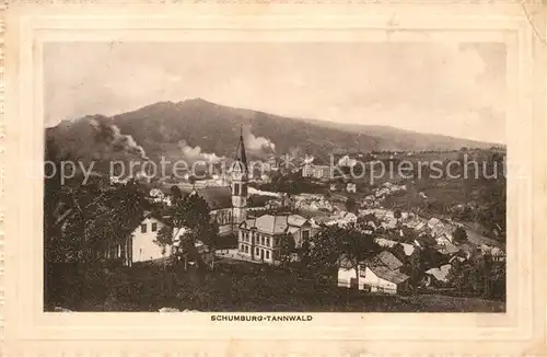 AK / Ansichtskarte Tannwald_Schumburg Ortsansicht mit Kirche Tannwald Schumburg