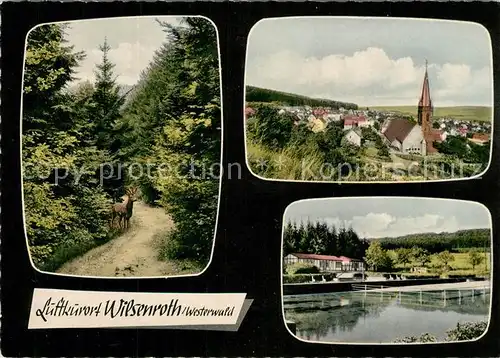 AK / Ansichtskarte Wilsenroth  Wilsenroth