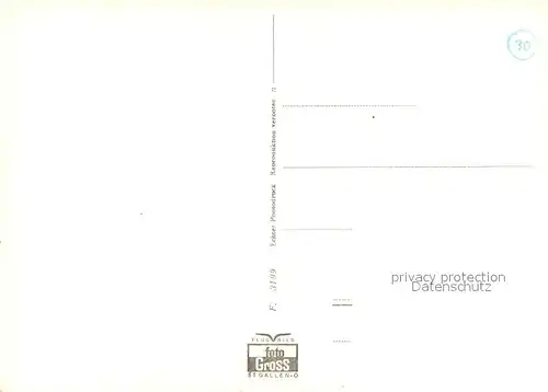 AK / Ansichtskarte Weinfelden Fliegeraufnahme Ottenberg Weinfelden