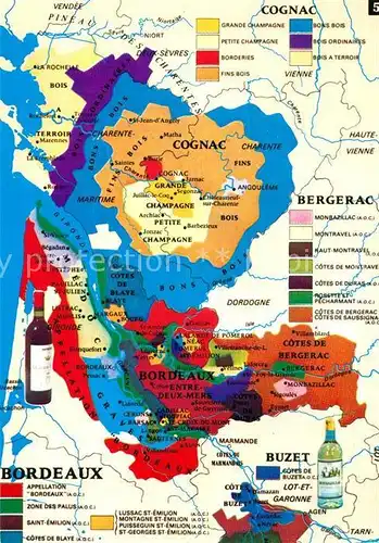 AK / Ansichtskarte Wein Carte des Vins de France Bordeaux Buzet Bergerax Cognac  Wein