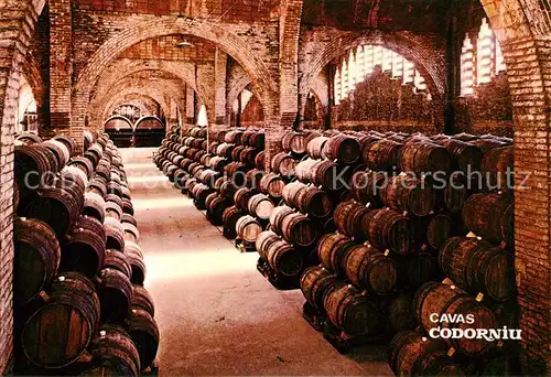 AK / Ansichtskarte Wein Cavas Codorniu Weinkeller Bodega  Wein