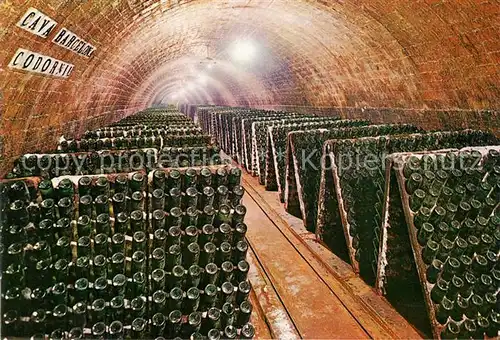 AK / Ansichtskarte Wein Cavas Codorniu Botellas en Pupitre  Wein