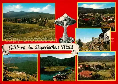 AK / Ansichtskarte Lohberg_Lam Panoramen Bootsanlegestelle Grenze Lohberg_Lam