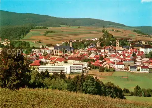 AK / Ansichtskarte Furth_Wald Panorama Furth_Wald