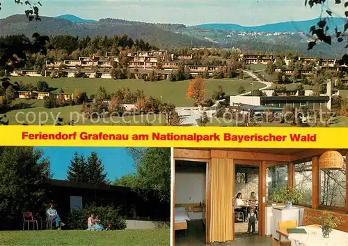 AK / Ansichtskarte Grafenau_Niederbayern Panorama Pension Grafenau Niederbayern