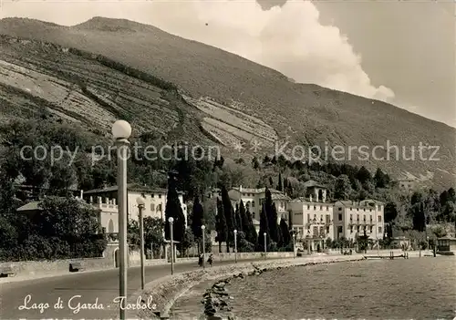 AK / Ansichtskarte Torbole_Lago_di_Garda Panorama Torbole_Lago_di_Garda