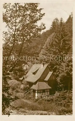 AK / Ansichtskarte Reiboldsgruen_Bad Haus am Wald Reiboldsgruen_Bad