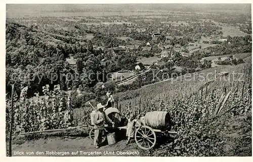 AK / Ansichtskarte Tiergarten_Ortenau Landschaftspanorama Blick von den Rebbergen Tiergarten Ortenau