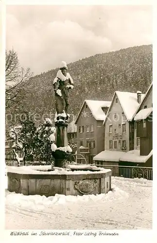 AK / Ansichtskarte Bad_Wildbad Peter Liebig Brunnen im Winter Kurort im Schwarzwald Bad_Wildbad