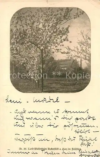AK / Ansichtskarte Veckenstedt Land Waisenheim im Fruehling Baumbluete Zweite Reihe Nr. 20 Zeichnung von Lina Burger Kuenstlerkarte Veckenstedt