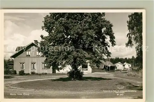 AK / Ansichtskarte oelme Ortsmotiv Alter Baum 