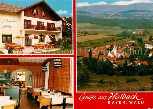 AK / Ansichtskarte Haibach_Bayrischer_Wald Panorama Cafe Pension Ursula Spinler Haibach_Bayrischer_Wald