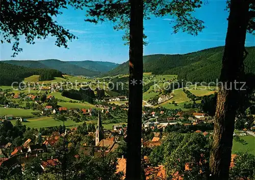 AK / Ansichtskarte Baiersbronn_Schwarzwald Panorama Baiersbronn Schwarzwald