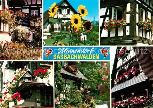 AK / Ansichtskarte Sasbachwalden Ortsansichten Fachwerkhaeuser  Sasbachwalden